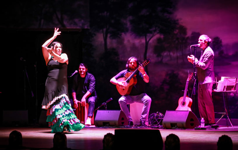 Gallery photo 1 of Flamenco Fever