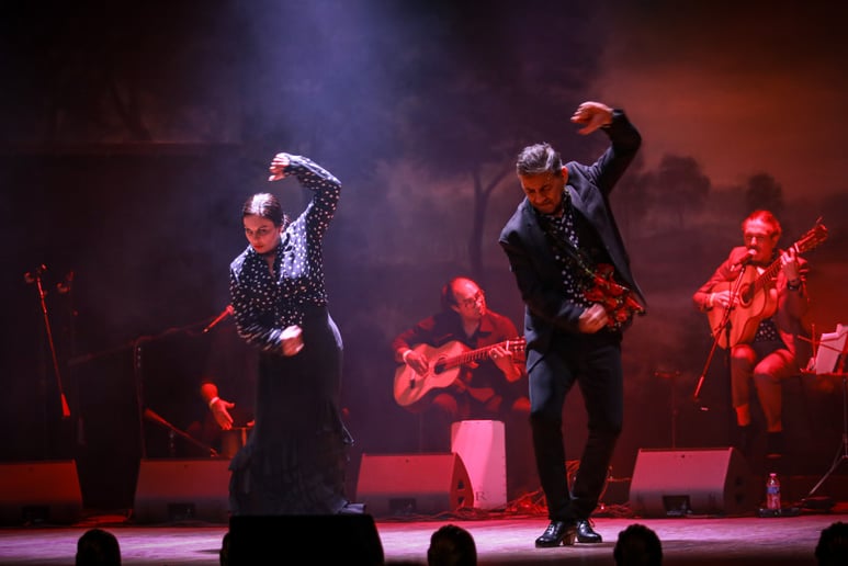 Gallery photo 3 of Flamenco Fever