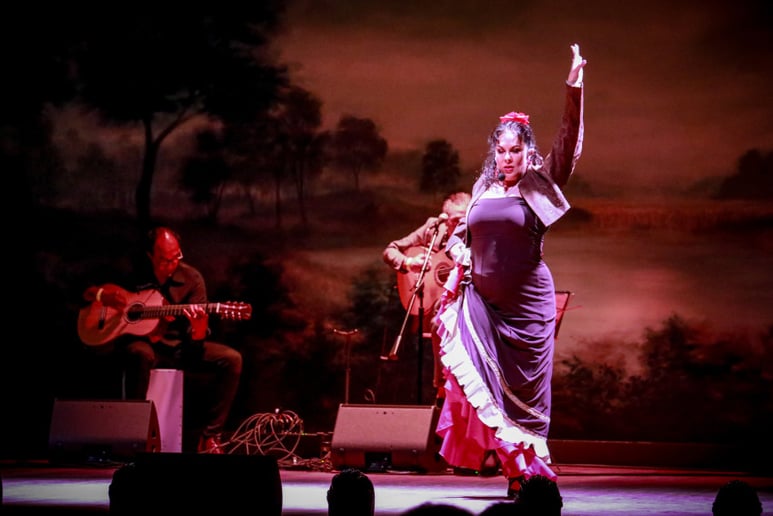 Gallery photo 4 of Flamenco Fever