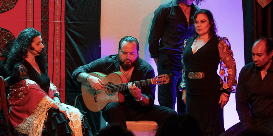 Gallery photo 5 of Flamenco Fever