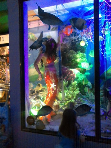Gallery photo 9 of Flamenco Fusion Dance and Mermaid Magic