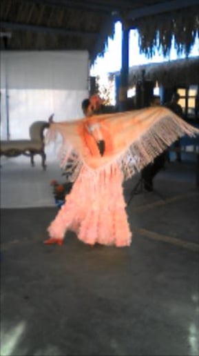 Gallery photo 4 of Flamenco Fusion Dance and Mermaid Magic