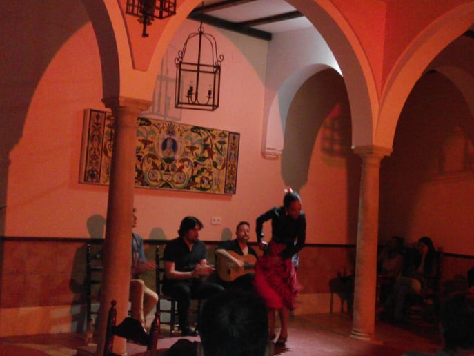 Gallery photo 11 of Tico Flamenco