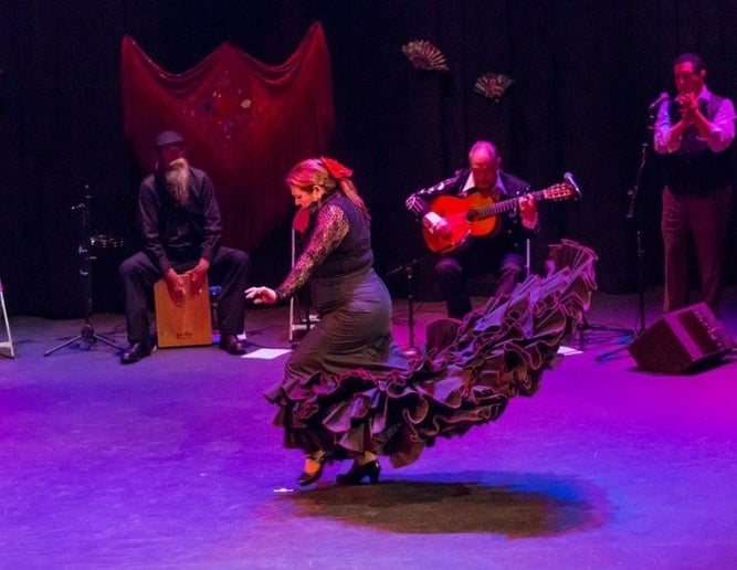 Gallery photo 4 of Flamenco Underground