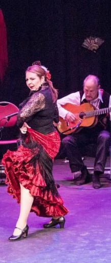 Gallery photo 5 of Flamenco Underground
