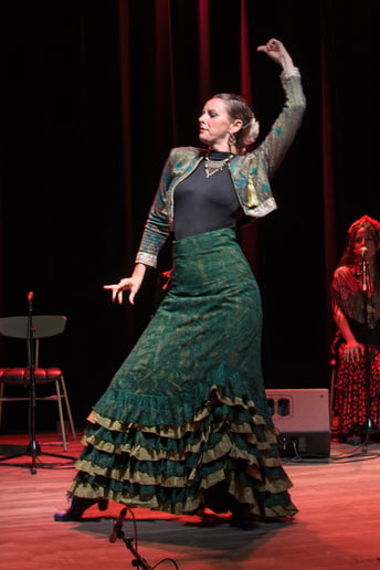 Gallery photo 4 of Flamencolía