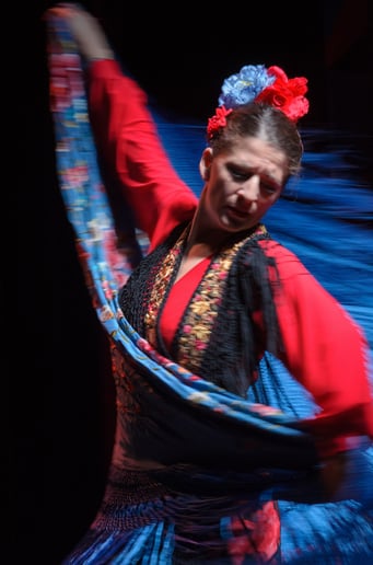 Gallery photo 5 of Flamencolía