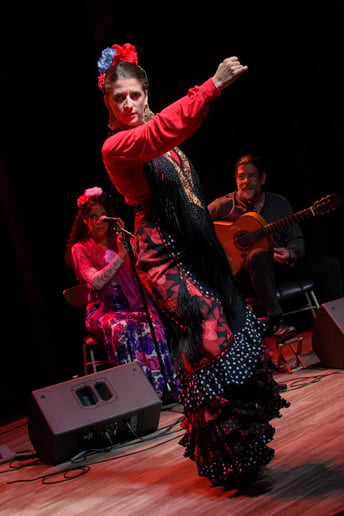 Gallery photo 6 of Flamencolía