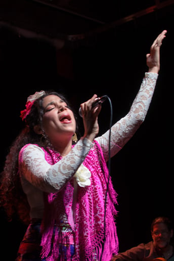 Gallery photo 7 of Flamencolía