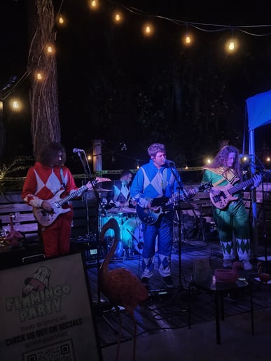 Gallery photo 6 of Flamingo Party
