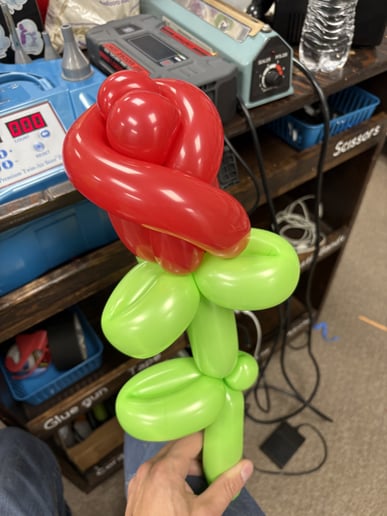 Gallery photo 9 of Styxx Variety Performer