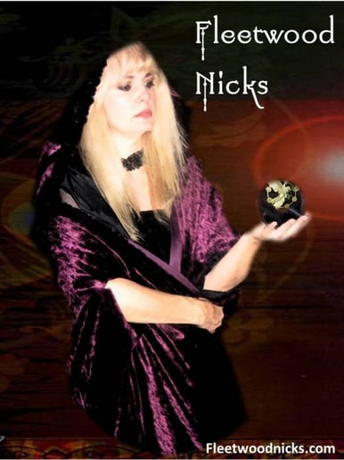Gallery photo 4 of Fleetwood Nicks