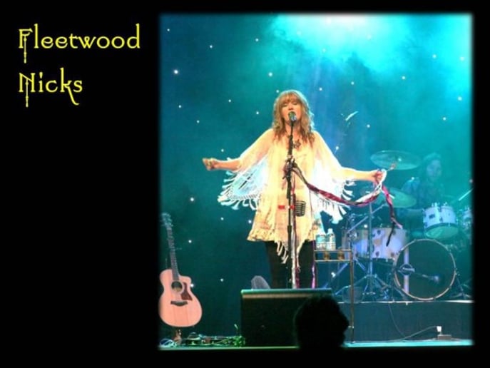 Gallery photo 9 of Fleetwood Nicks