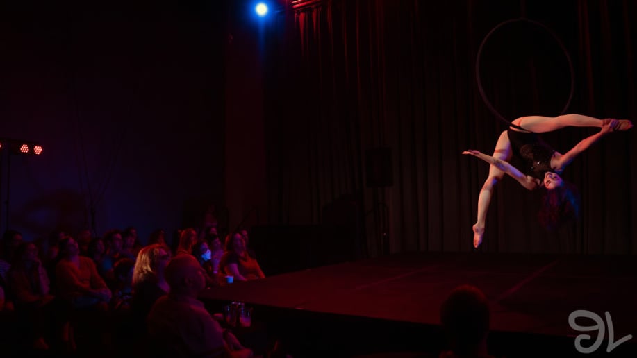 Gallery photo 6 of Flex Fatale: Aerial, Cirque & Pole