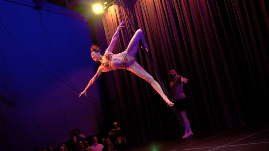 Gallery photo 4 of Flex Fatale: Aerial, Cirque & Pole