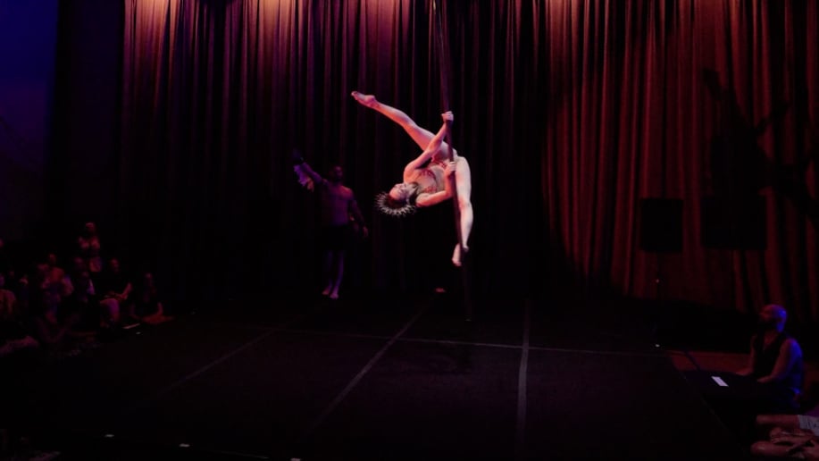 Gallery photo 9 of Flex Fatale: Aerial, Cirque & Pole