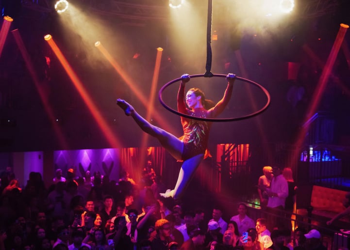 Gallery photo 1 of Flex Fatale: Aerial, Cirque & Pole