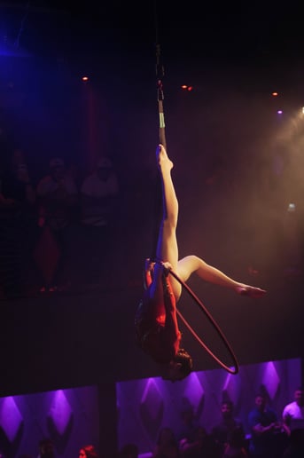 Gallery photo 4 of Flex Fatale: Aerial, Cirque & Pole