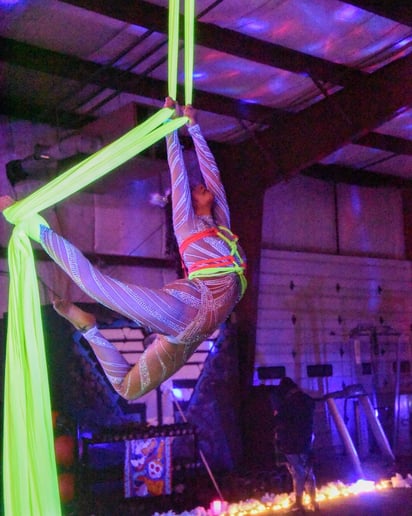 Gallery photo 10 of Seelie Circus