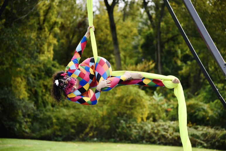 Gallery photo 1 of Seelie Circus