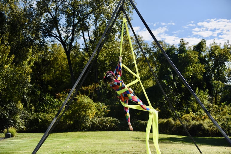 Gallery photo 3 of Seelie Circus
