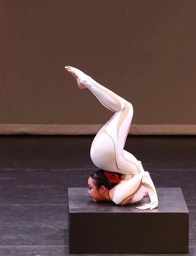 Gallery photo 4 of Flexi Vivi