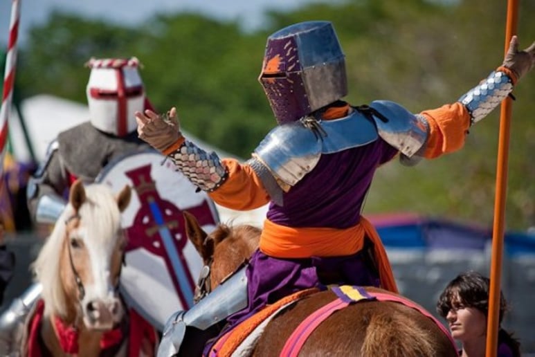 Gallery photo 1 of Florida Renaissance Festival