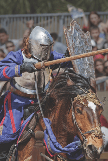 Gallery photo 4 of Florida Renaissance Festival