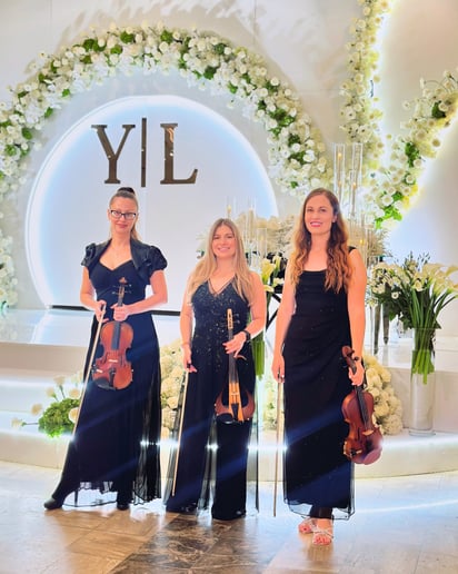 Gallery photo 1 of Florys Violin Art