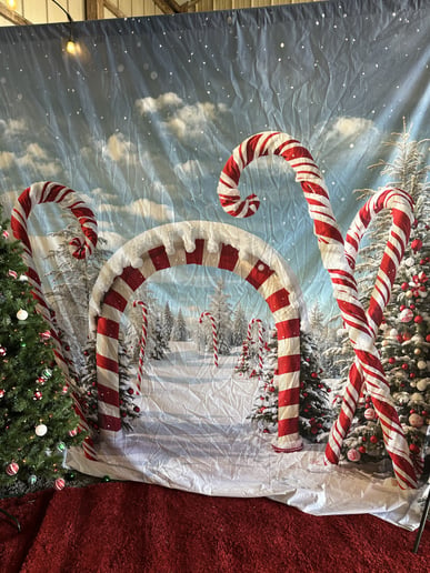 Gallery photo 6 of Pine Barrens Santa