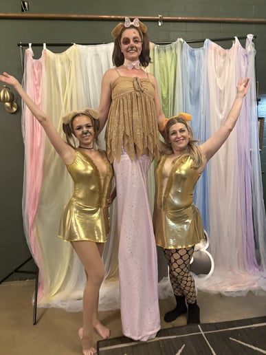 Gallery photo 4 of Flowspire Aerial & Circus Arts