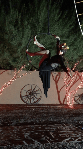 Gallery photo 7 of Flowspire Aerial & Circus Arts