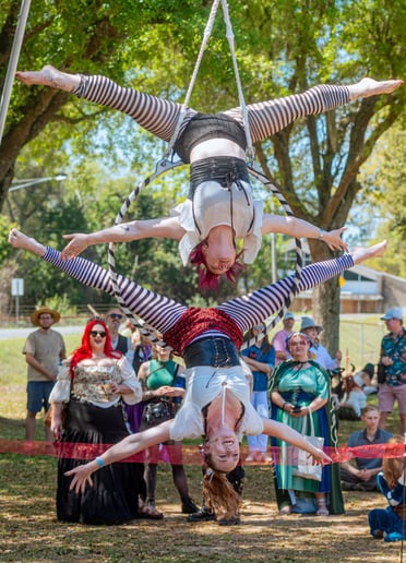 Gallery photo 4 of Fluid Motion - Aerial/Fire/Dance