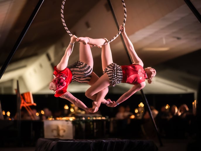Gallery photo 6 of Fluid Motion - Aerial/Fire/Dance