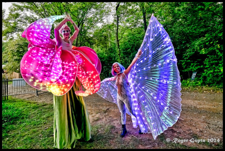Gallery photo 5 of Fluidity Performance