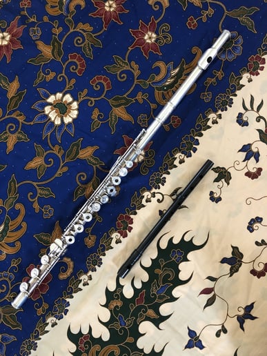 Gallery photo 2 of Flute Soloist or Accompaniment