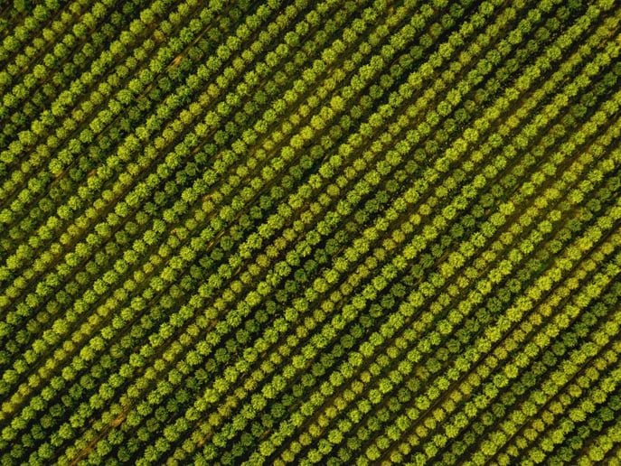 Gallery photo 9 of Flyby Imagery