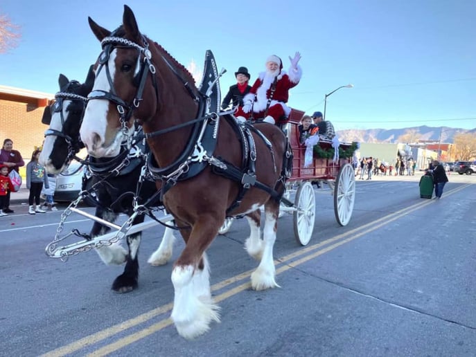 Gallery photo 1 of Flying M Clydesdales