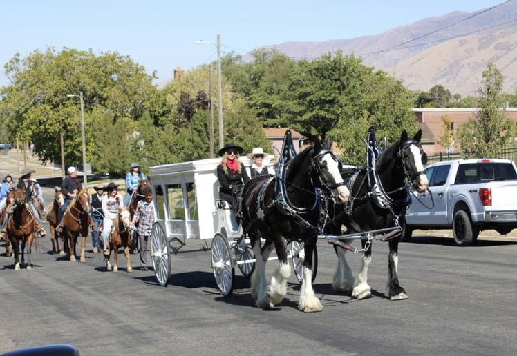 Gallery photo 4 of Flying M Clydesdales