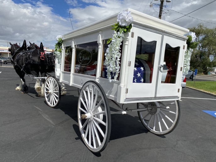Gallery photo 5 of Flying M Clydesdales