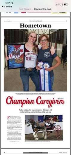 Gallery photo 6 of Flying M Clydesdales
