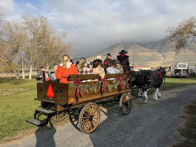 Gallery photo 10 of Flying M Clydesdales