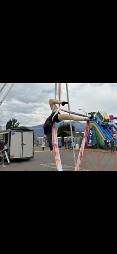 Gallery photo 8 of Flying Moon Aerials