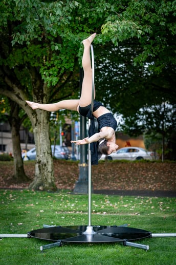 Gallery photo 8 of Flying Moon Aerials