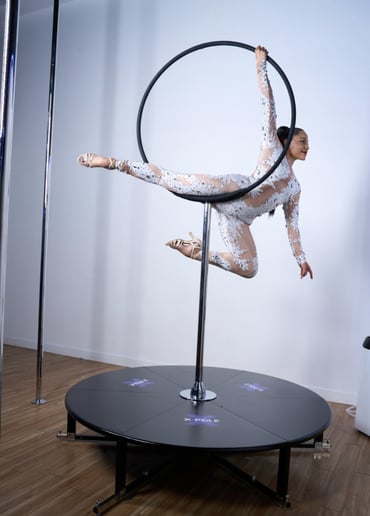 Gallery photo 2 of Flying Pocahontas