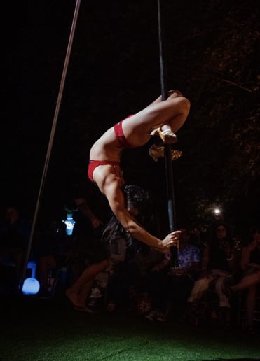 Gallery photo 2 of Flying Pole Circus Act