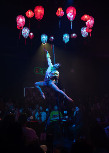 Gallery photo 3 of Flying Pole Circus Act