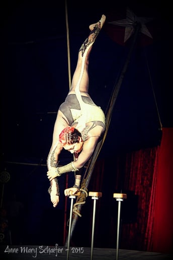 Gallery photo 6 of Flynn Creek Circus LLC