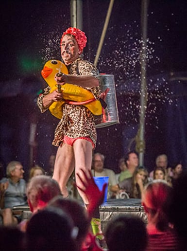 Gallery photo 7 of Flynn Creek Circus LLC