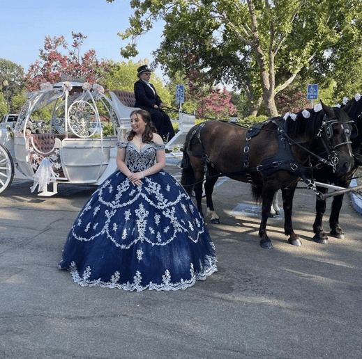 Gallery photo 3 of Fontes Carriages